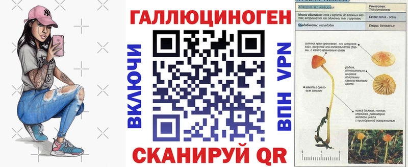 где купить Торопец блэк спрут сайт Галлюциногенные грибы прущие грибы